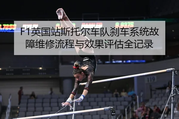 ying-guo-zhan-si-tuo-er-che-dui-sha-che-xi-tong-gu-zhang-wei-xiu-liu-cheng-yu-xiao-guo-ping-gu-quan-ji-lu-2-588.jpg